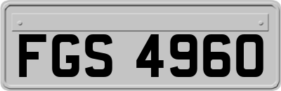 FGS4960