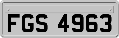 FGS4963