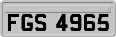 FGS4965