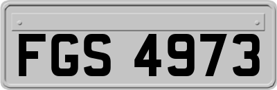 FGS4973