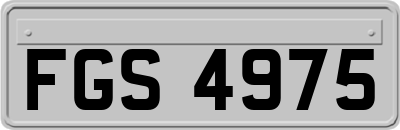 FGS4975