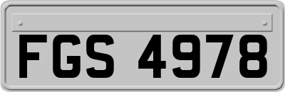 FGS4978
