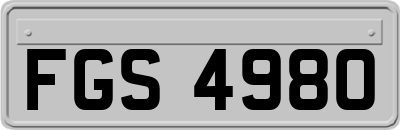 FGS4980