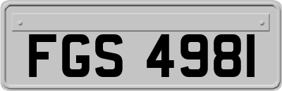 FGS4981