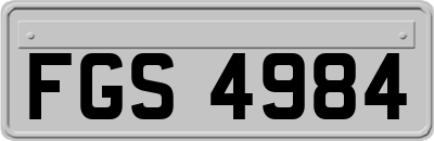 FGS4984