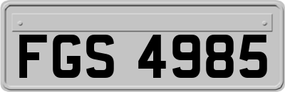 FGS4985