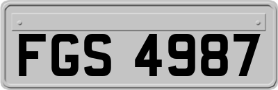 FGS4987