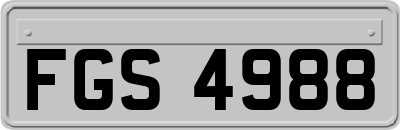 FGS4988