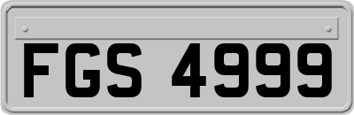 FGS4999
