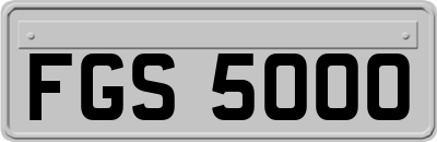 FGS5000