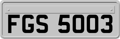 FGS5003