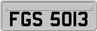 FGS5013