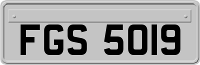 FGS5019