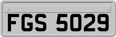 FGS5029