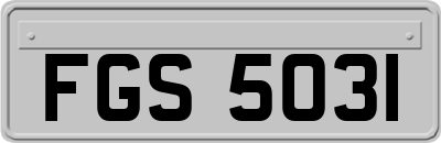 FGS5031
