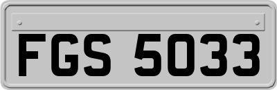 FGS5033