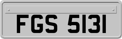 FGS5131