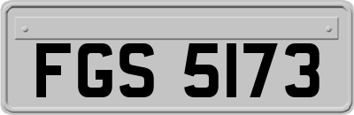 FGS5173