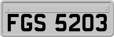 FGS5203