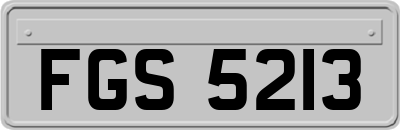FGS5213