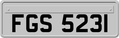 FGS5231