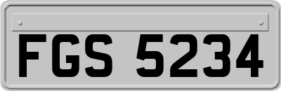 FGS5234