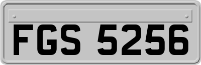 FGS5256