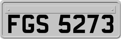 FGS5273
