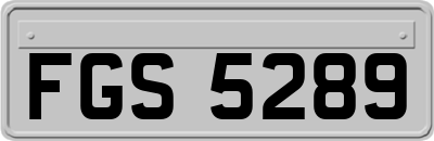 FGS5289