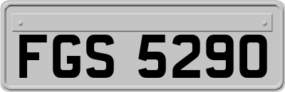 FGS5290