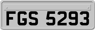 FGS5293