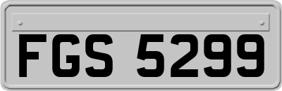 FGS5299