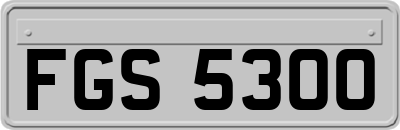 FGS5300