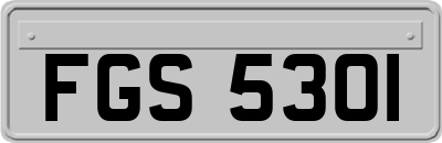 FGS5301