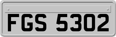 FGS5302