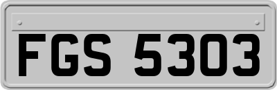 FGS5303