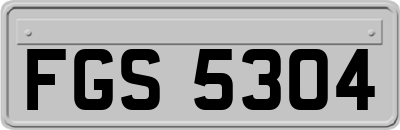 FGS5304