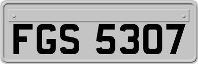 FGS5307