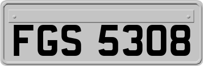 FGS5308