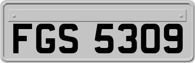 FGS5309