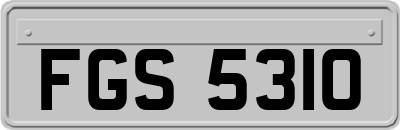 FGS5310