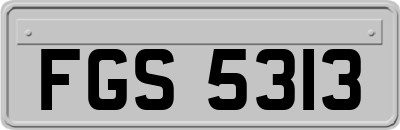FGS5313