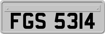 FGS5314