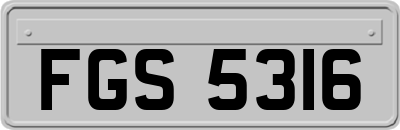 FGS5316