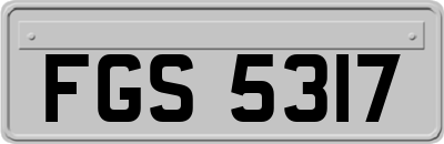 FGS5317