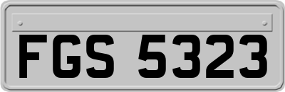 FGS5323