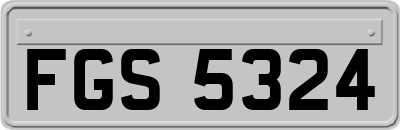 FGS5324