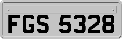 FGS5328