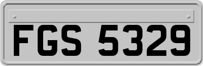 FGS5329