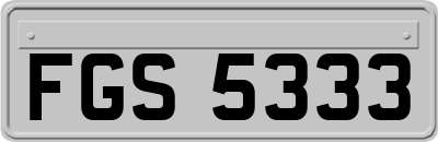 FGS5333